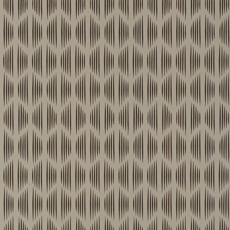 SCHUMACHER  DAVID OLIVER OVINGTON   SALVADOR   - 5008136