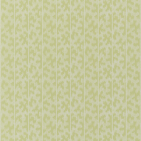 SCHUMACHER  DAVID OLIVER MONTPELLIER   Lime Blossom   - 5008162