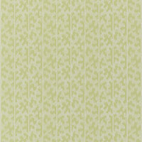 SCHUMACHER  DAVID OLIVER MONTPELLIER   Lime Blossom   - 5008162