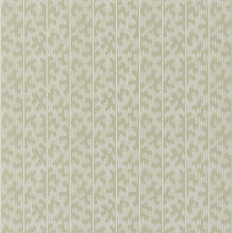 SCHUMACHER  DAVID OLIVER MONTPELLIER   Shutter   - 5008163