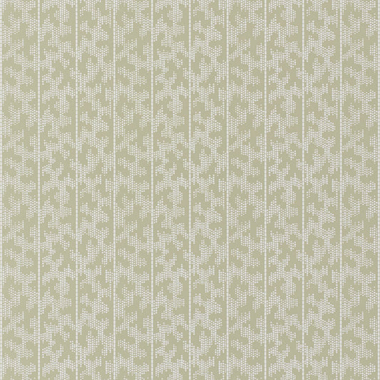 SCHUMACHER  DAVID OLIVER MONTPELLIER   Shutter   - 5008163