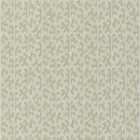 SCHUMACHER  DAVID OLIVER MONTPELLIER   Shutter   - 5008163