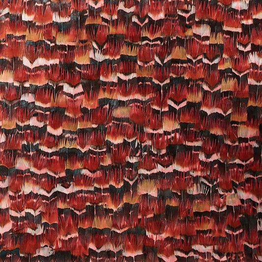 SCHUMACHER  PLUME GARNET   RAINBOW   - 5008373