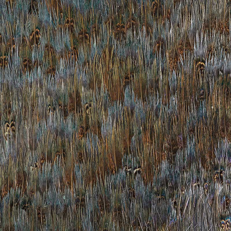 SCHUMACHER  PLUME MICA   TURQUOISE BLUE   - 5008375