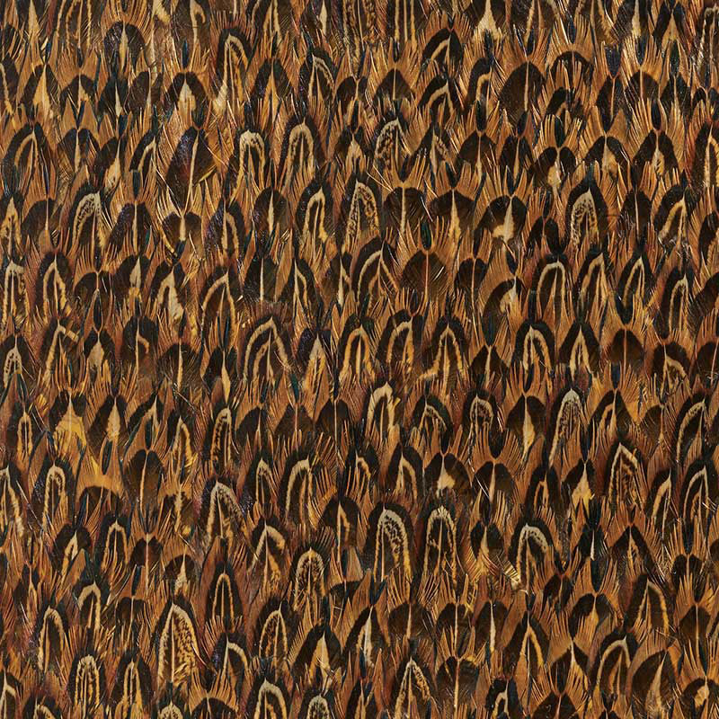 SCHUMACHER  PLUME GOLD   QUAIL   - 5008376