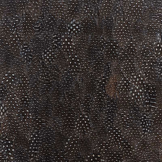 SCHUMACHER  PLUME TITANIUM   BLACK , WHITE   - 5008378