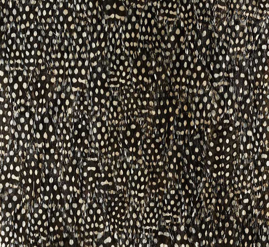 SCHUMACHER  PLUME ZINC   BLACK , WHITE   - 5008379