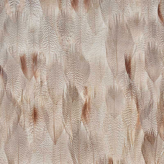 SCHUMACHER  PLUME ALABASTER   FLORAL WHITE   - 5008385