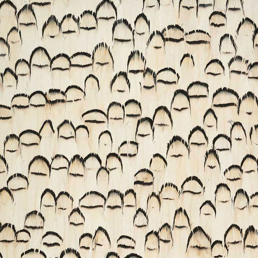 SCHUMACHER  PLUME ROCK CRYSTAL   WHITE   - 5008386