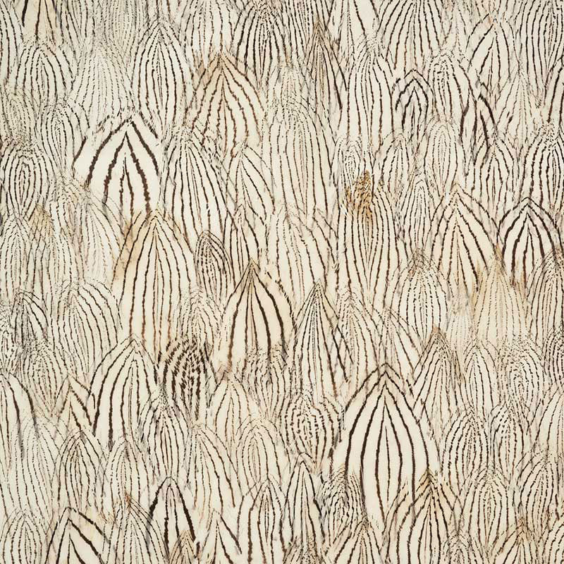 SCHUMACHER  PLUME DIAMOND   WHITE PEACH   - 5008387