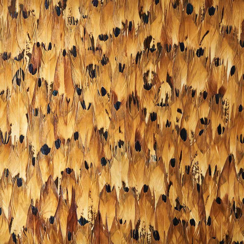 SCHUMACHER  PLUME AVENTURINE   TULIP YELLOW   - 5008389