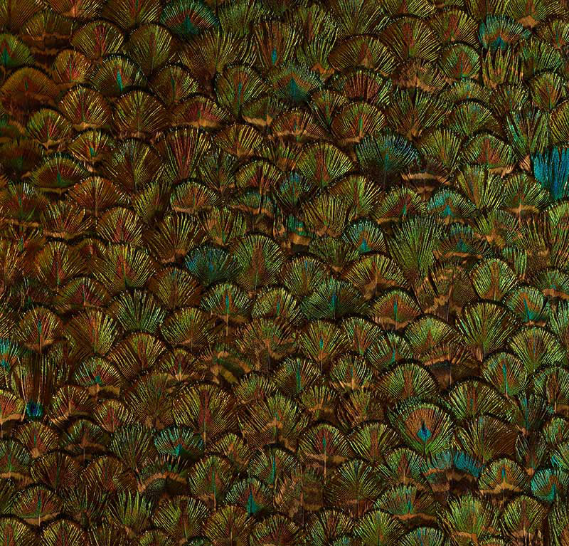 SCHUMACHER  PLUME PERIDOT   EMERALD   - 5008396