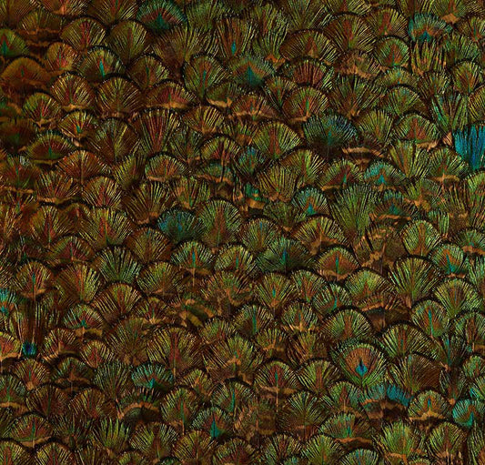 SCHUMACHER  PLUME PERIDOT   EMERALD   - 5008396