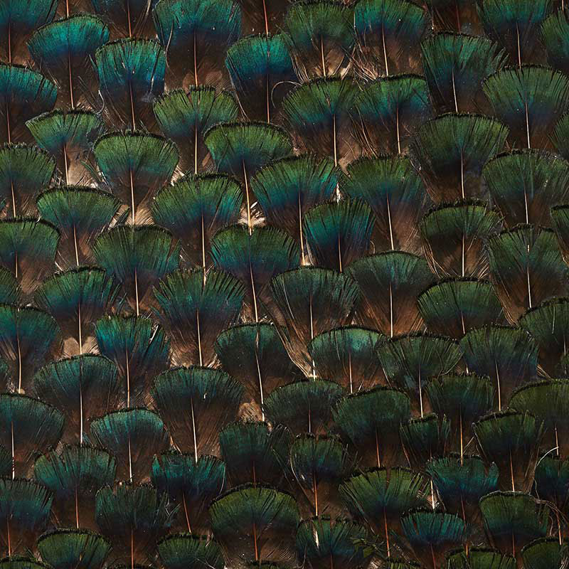 SCHUMACHER  PLUME EDENITE   MOSS GREEN   - 5008397