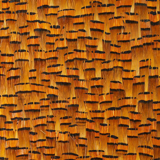 SCHUMACHER  PLUME BAUXITE   GOLDENROD   - 5008400