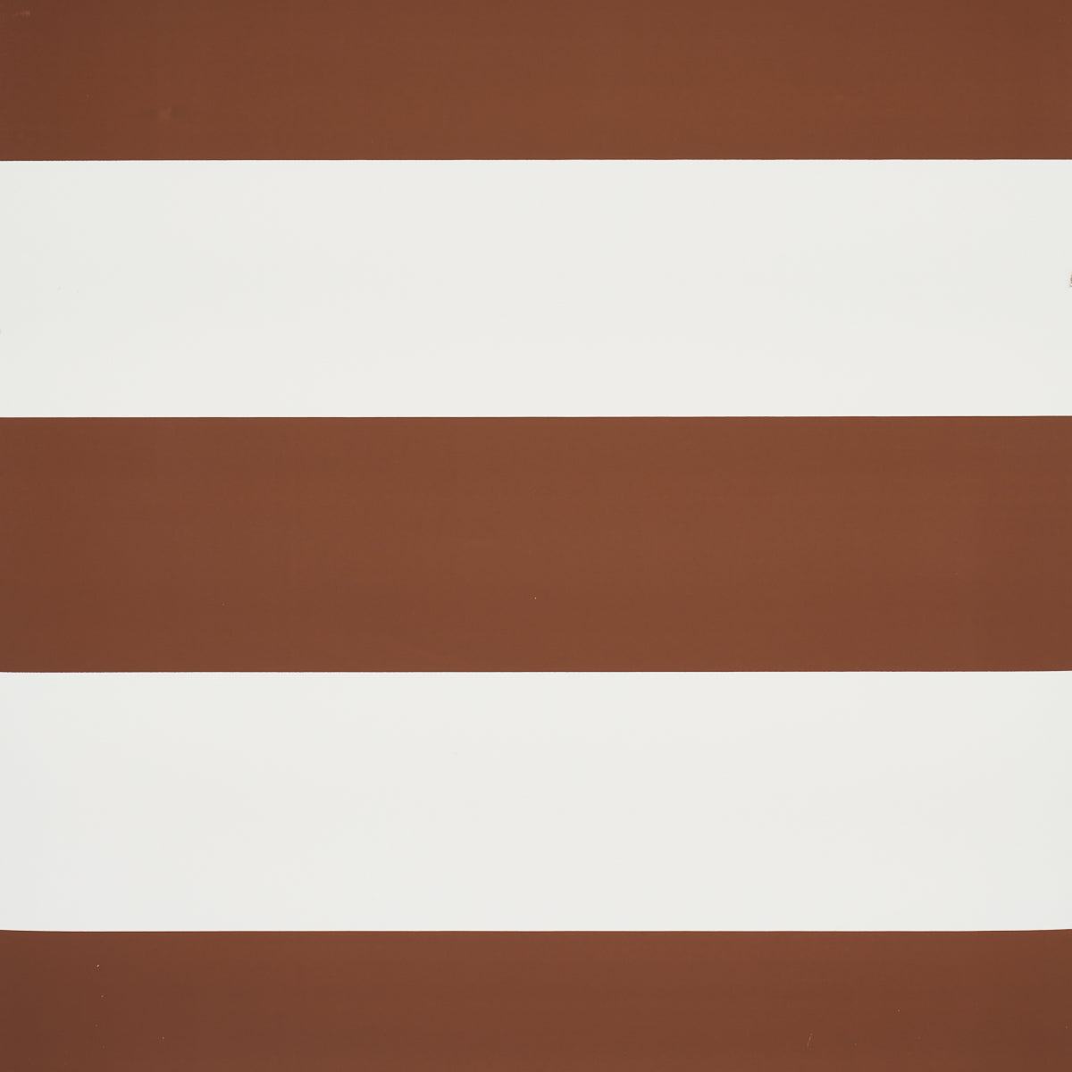 SCHUMACHER  FULL BLOOM BAXTER STRIPE   Brown   - 5008527