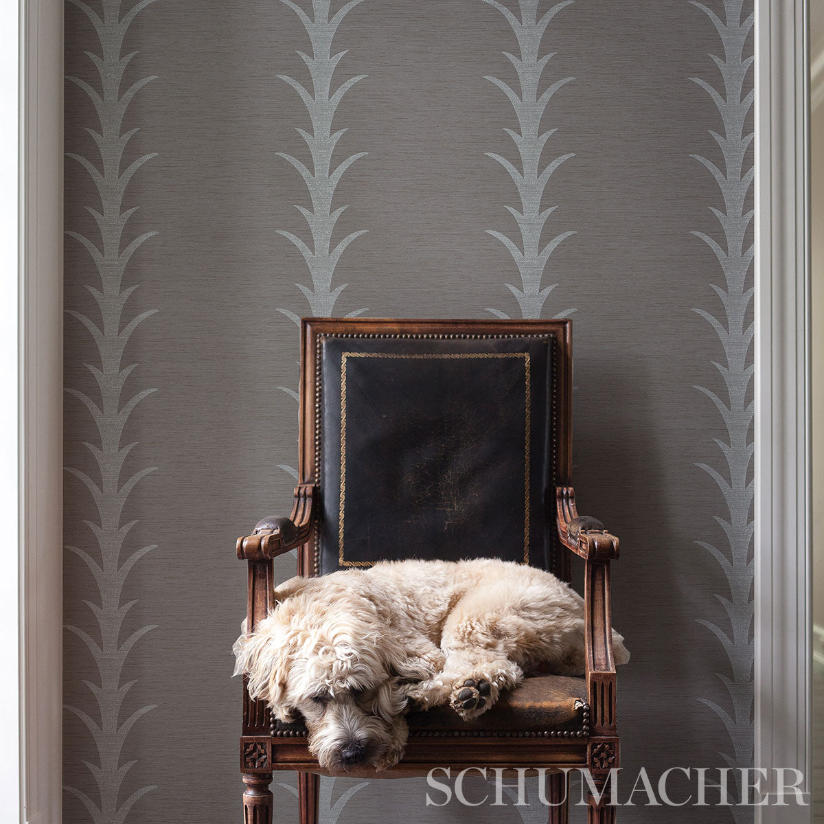 Grey acanthus stripe vinyl wallpaper