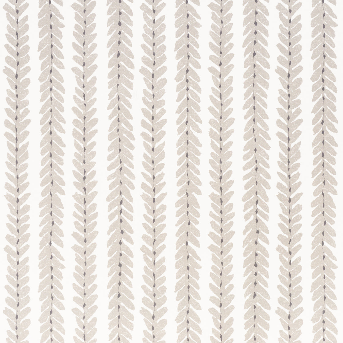 SCHUMACHER  VEERE GRENNEY WOODPERRY   TAUPE   - 5008790