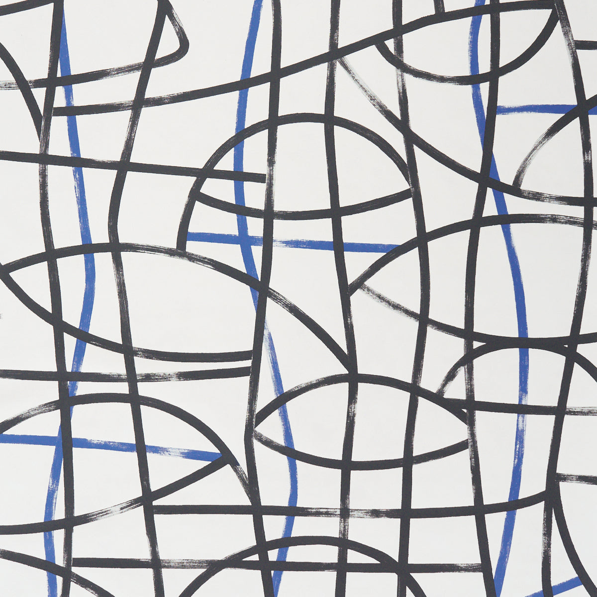 SCHUMACHER  BROAD STROKES ABSTRATTO   BLACK , COBALT   - 5009071