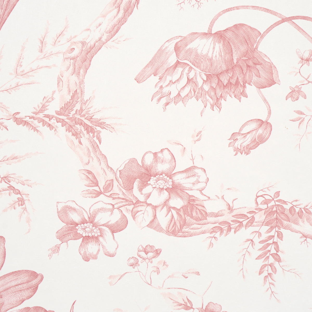 SCHUMACHER  PERENNIAL FAVORITES TOILE DE FLEURS   PINK   - 5009123