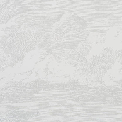SCHUMACHER WALLCOVERING  MODERN GLAMOUR CLOUD TOILE   QUARTZ   - 5009131