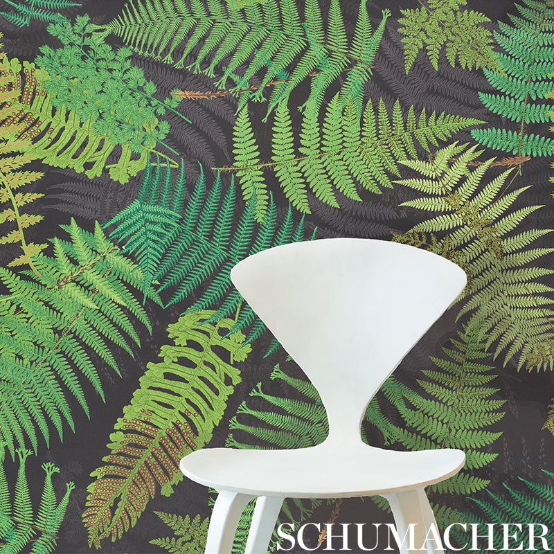 Fernarium display featuring lush ferns and a black leaf motif