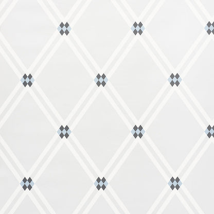 SCHUMACHER  DAVID OLIVER ASOLO   BLUE   - 5009240