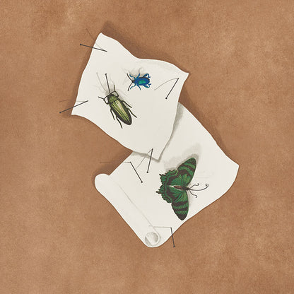 SCHUMACHER  TROMPE L'OEIL DIANA   MULTI   - 5009340