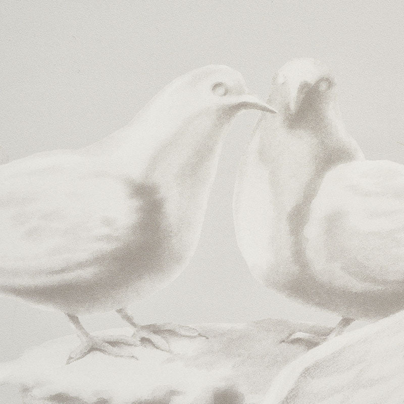 SCHUMACHER  CHARLAP HYMAN & HERRERO GIUNONE   STONE   - 5009360