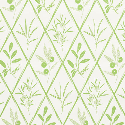 SCHUMACHER WALLCOVERING  CHARLAP HYMAN & HERRERO ENDIMIONE   LEAF   - 5009371