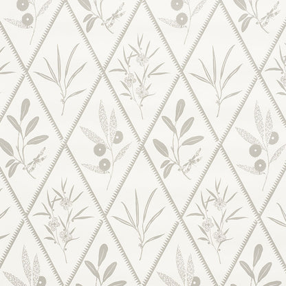 SCHUMACHER  CHARLAP HYMAN & HERRERO ENDIMIONE   Grey   - 5009372
