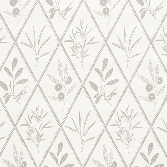 SCHUMACHER  CHARLAP HYMAN & HERRERO ENDIMIONE   Grey   - 5009372