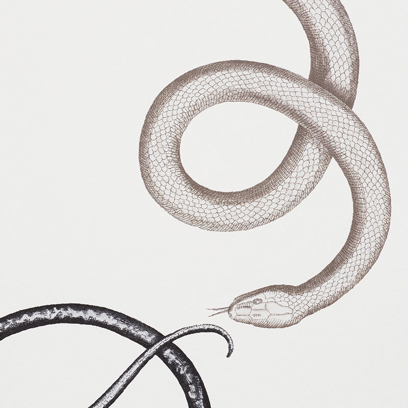 SCHUMACHER  CHARLAP HYMAN & HERRERO GIOVE   AGATE , ONYX   - 5009462