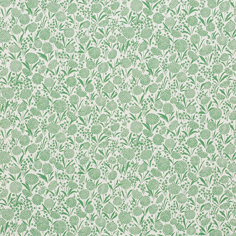 SCHUMACHER  SMALL-PRINT WALLPAPERS CHRYSANTHEMUM   Green   - 5009551