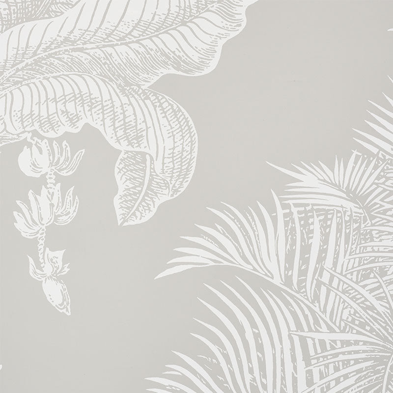 Light gray wallpaper with white tropical palm leaf pattern, decorative botanical wall covering.