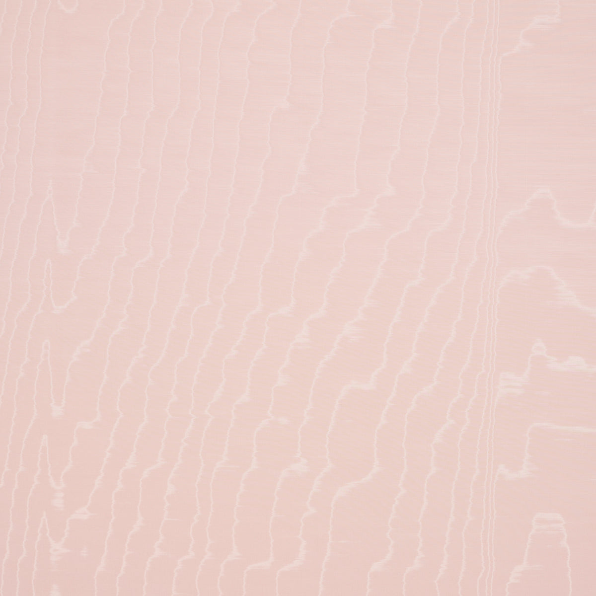 SCHUMACHER  LE MAX MOIR?? WALLCOVERING   ROSE   - 5009675