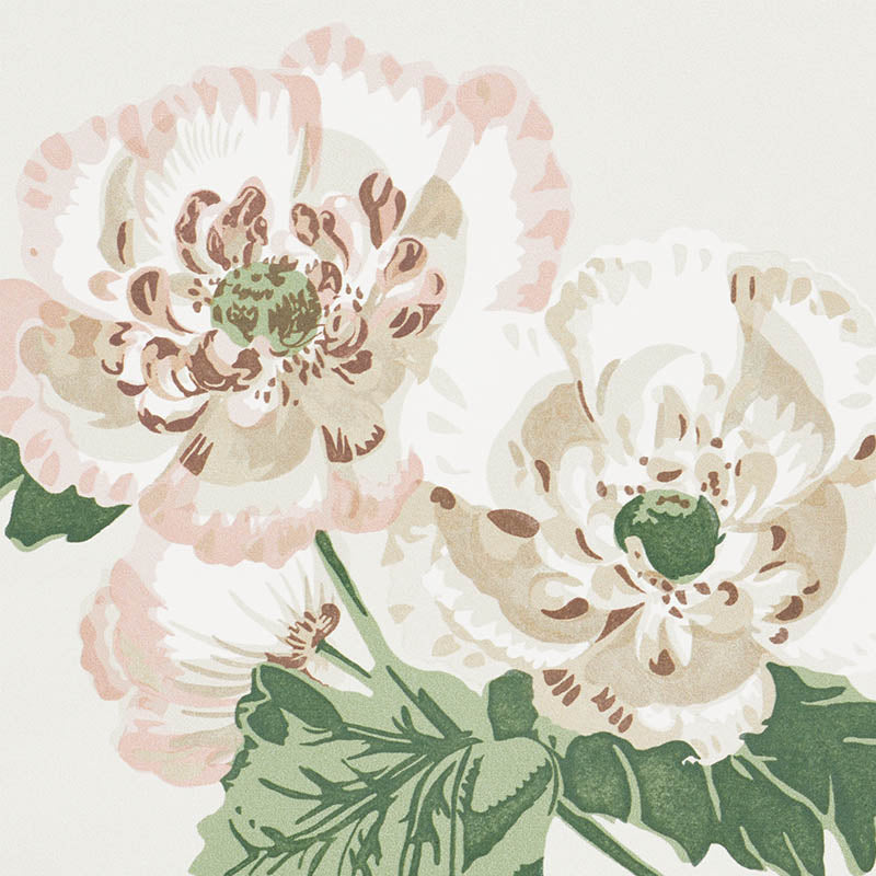 SCHUMACHER WALLCOVERING  VEERE GRENNEY BETTY   QUIET PINK   - 5009870