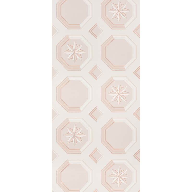 SCHUMACHER  TROMPE L'OEIL AUGUSTUS   BLUSH   - 5009891