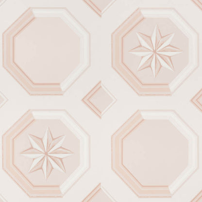 SCHUMACHER  TROMPE L'OEIL AUGUSTUS   BLUSH   - 5009891