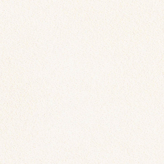 SCHUMACHER  TROMPE L'OEIL VILLA TEXTURE   IVORY   - 5009930