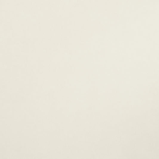 SCHUMACHER  MILES REDD VILLA TEXTURE   WHITE , IVORY   - 5009932