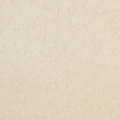 SCHUMACHER  HIGH PERFORMANCE TEXTURED WALLCOVERINGS CRISTO   JASPER   - 5010013