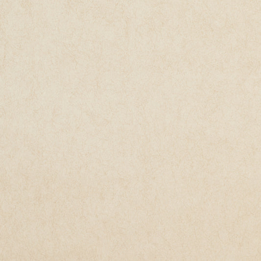 SCHUMACHER  HIGH PERFORMANCE TEXTURED WALLCOVERINGS CRISTO   JASPER   - 5010013