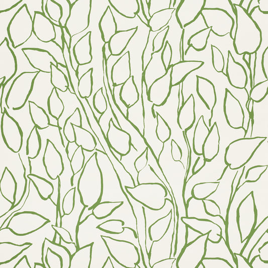SCHUMACHER  FREEHAND SOLANDRA VINE   LEAF   - 5010070