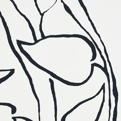 SCHUMACHER WALLCOVERING  FREEHAND SOLANDRA VINE   BLACK   - 5010071