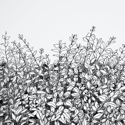 Monochrome ink line drawing of dense shrubbery with oval leaves and tall stems.