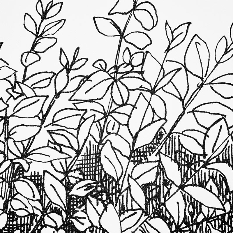 Black line-art botanical illustration of tangled leafy branches on a white background, sketch style.