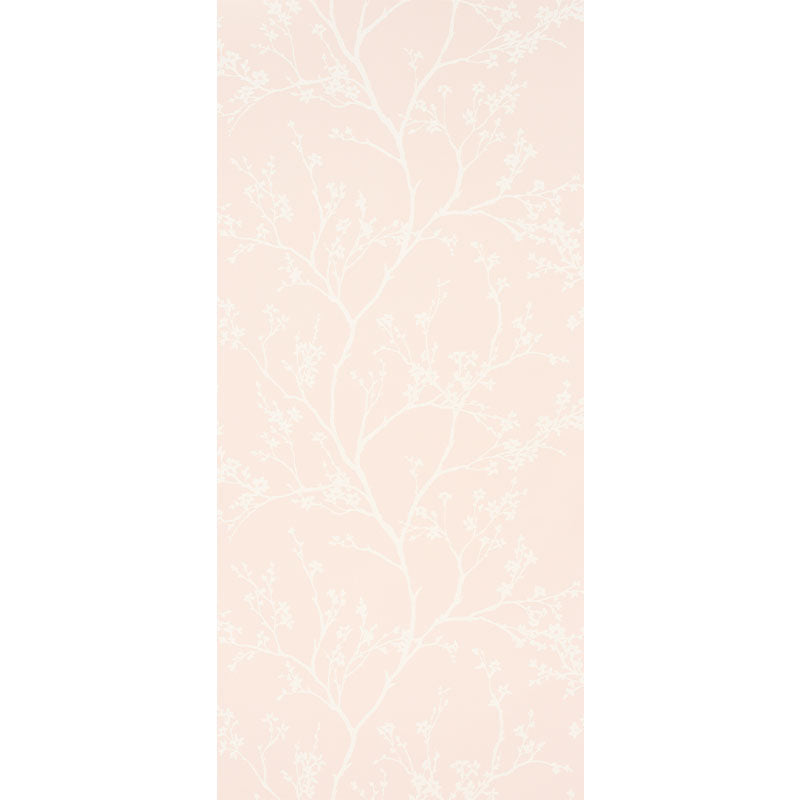 Peach wallpaper with white delicate botanical tree-branch pattern for vertical wall decor.