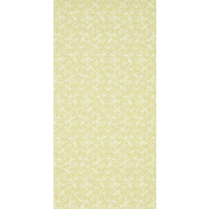 SCHUMACHER  WALLFLOWERS DARBY   BUTTERCUP   - 5010182