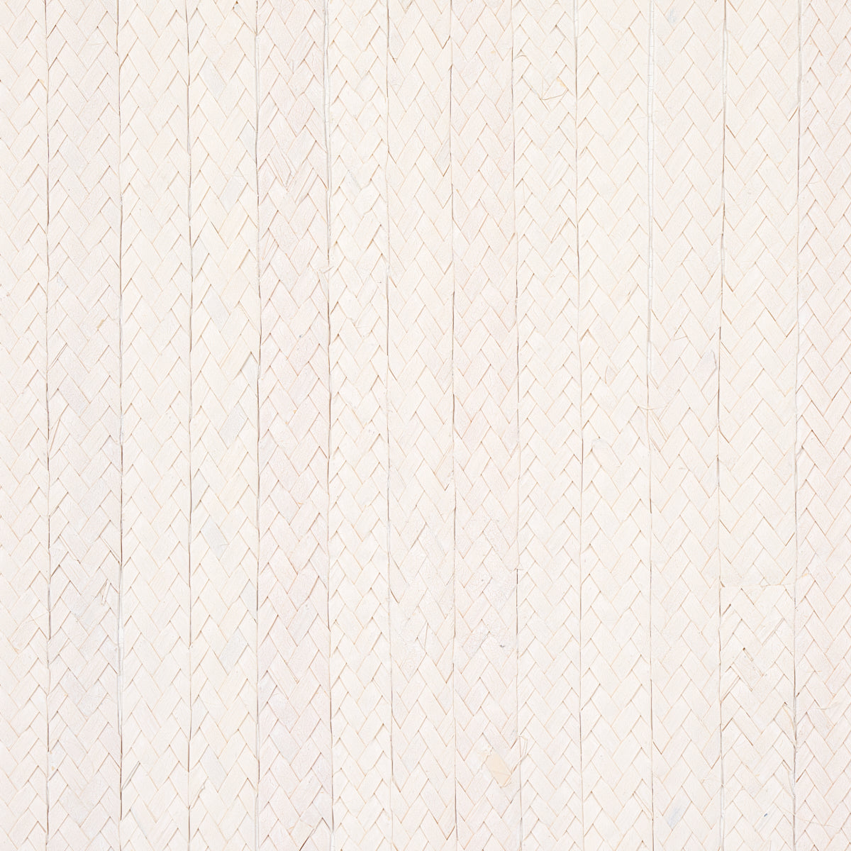 SCHUMACHER  TEXTURED WALLCOVERINGS & PRINTED GRASSCLOTHS BRAIDED BURI   IVORY   - 5010191
